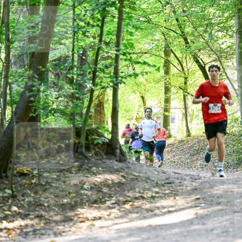 28.09.2025 - 33. Volkslauf durch das schöne Alstertal Dr. Thomas Lammeyer http://msf.ph/oto/8960438 28.09.2025 11:02:47 Laufen 3364 meine-sportfotos.de