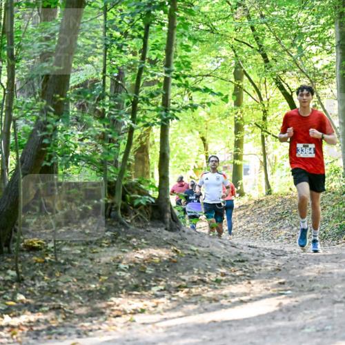 28.09.2025 - 33. Volkslauf durch das schöne Alstertal Dr. Thomas Lammeyer http://msf.ph/oto/8960439 28.09.2025 11:02:47 Laufen 3364 meine-sportfotos.de