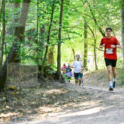 28.09.2025 - 33. Volkslauf durch das schöne Alstertal Dr. Thomas Lammeyer http://msf.ph/oto/8960441 28.09.2025 11:02:47 Laufen  meine-sportfotos.de