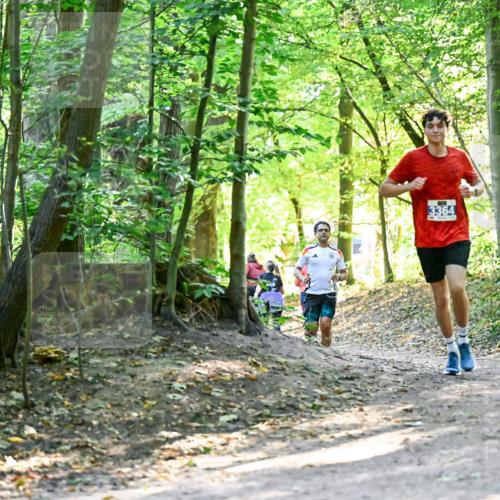 28.09.2025 - 33. Volkslauf durch das schöne Alstertal Dr. Thomas Lammeyer http://msf.ph/oto/8960443 28.09.2025 11:02:47 Laufen 3364 meine-sportfotos.de
