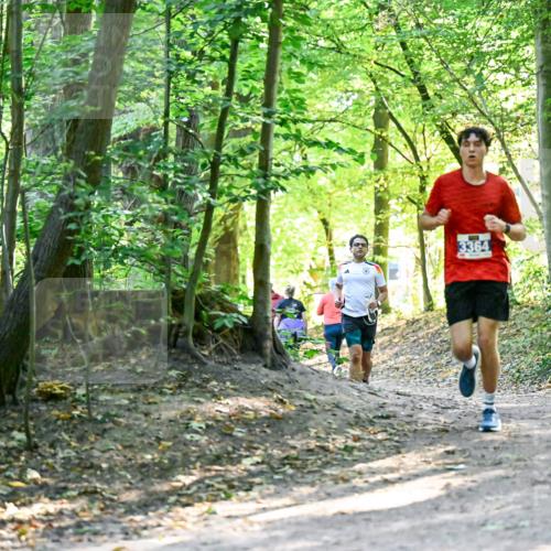 28.09.2025 - 33. Volkslauf durch das schöne Alstertal Dr. Thomas Lammeyer http://msf.ph/oto/8960445 28.09.2025 11:02:47 Laufen 3364 meine-sportfotos.de