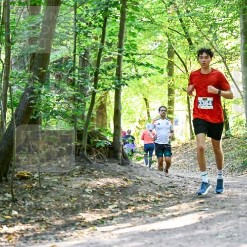 28.09.2025 - 33. Volkslauf durch das schöne Alstertal Dr. Thomas Lammeyer http://msf.ph/oto/8960447 28.09.2025 11:02:48 Laufen 3364 meine-sportfotos.de