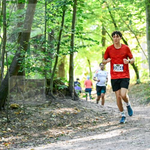 28.09.2025 - 33. Volkslauf durch das schöne Alstertal Dr. Thomas Lammeyer http://msf.ph/oto/8960449 28.09.2025 11:02:48 Laufen 3364 meine-sportfotos.de