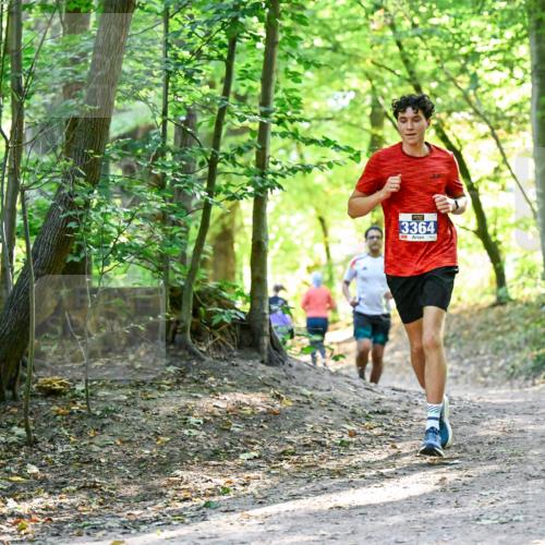28.09.2025 - 33. Volkslauf durch das schöne Alstertal Dr. Thomas Lammeyer http://msf.ph/oto/8960450 28.09.2025 11:02:48 Laufen 3364 meine-sportfotos.de