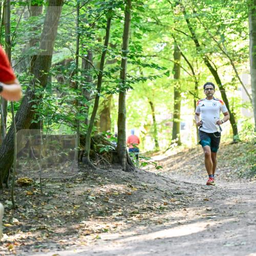 28.09.2025 - 33. Volkslauf durch das schöne Alstertal Dr. Thomas Lammeyer http://msf.ph/oto/8960460 28.09.2025 11:02:50 Laufen 3364 meine-sportfotos.de