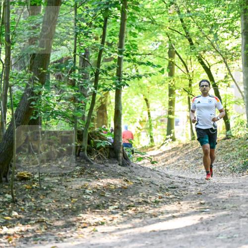28.09.2025 - 33. Volkslauf durch das schöne Alstertal Dr. Thomas Lammeyer http://msf.ph/oto/8960461 28.09.2025 11:02:50 Laufen  meine-sportfotos.de