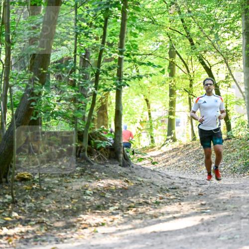 28.09.2025 - 33. Volkslauf durch das schöne Alstertal Dr. Thomas Lammeyer http://msf.ph/oto/8960462 28.09.2025 11:02:50 Laufen  meine-sportfotos.de