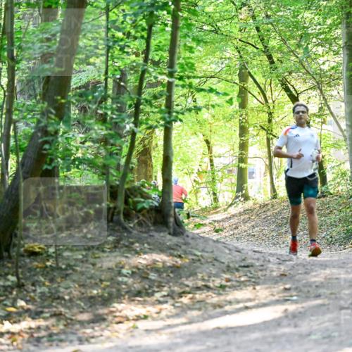 28.09.2025 - 33. Volkslauf durch das schöne Alstertal Dr. Thomas Lammeyer http://msf.ph/oto/8960463 28.09.2025 11:02:50 Laufen  meine-sportfotos.de