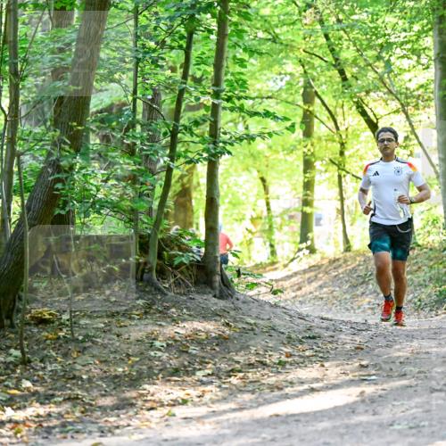 28.09.2025 - 33. Volkslauf durch das schöne Alstertal Dr. Thomas Lammeyer http://msf.ph/oto/8960466 28.09.2025 11:02:50 Laufen  meine-sportfotos.de