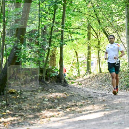 28.09.2025 - 33. Volkslauf durch das schöne Alstertal Dr. Thomas Lammeyer http://msf.ph/oto/8960467 28.09.2025 11:02:50 Laufen  meine-sportfotos.de