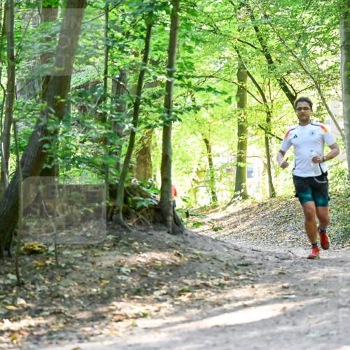 28.09.2025 - 33. Volkslauf durch das schöne Alstertal Dr. Thomas Lammeyer http://msf.ph/oto/8960468 28.09.2025 11:02:50 Laufen  meine-sportfotos.de