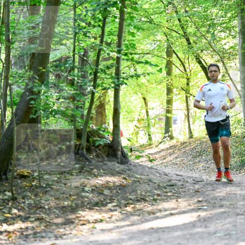 28.09.2025 - 33. Volkslauf durch das schöne Alstertal Dr. Thomas Lammeyer http://msf.ph/oto/8960470 28.09.2025 11:02:51 Laufen  meine-sportfotos.de