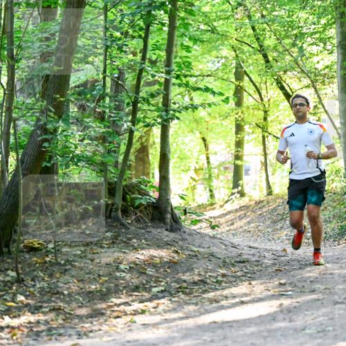 28.09.2025 - 33. Volkslauf durch das schöne Alstertal Dr. Thomas Lammeyer http://msf.ph/oto/8960472 28.09.2025 11:02:51 Laufen  meine-sportfotos.de