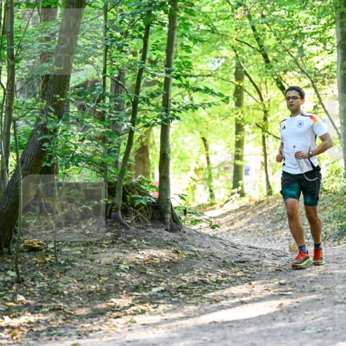 28.09.2025 - 33. Volkslauf durch das schöne Alstertal Dr. Thomas Lammeyer http://msf.ph/oto/8960473 28.09.2025 11:02:51 Laufen  meine-sportfotos.de