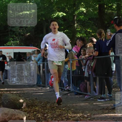 28.09.2025 - 33. Volkslauf durch das schöne Alstertal Strokosch-Dieckow http://msf.ph/oto/8960474 28.09.2025 10:49:28 Ziel 4175, 4922 meine-sportfotos.de