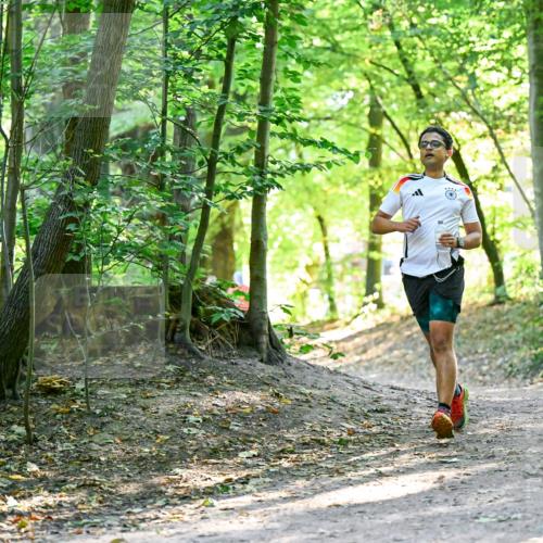 28.09.2025 - 33. Volkslauf durch das schöne Alstertal Dr. Thomas Lammeyer http://msf.ph/oto/8960477 28.09.2025 11:02:51 Laufen  meine-sportfotos.de