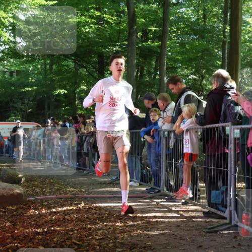28.09.2025 - 33. Volkslauf durch das schöne Alstertal Strokosch-Dieckow http://msf.ph/oto/8960488 28.09.2025 10:49:29 Ziel 4175, 4922 meine-sportfotos.de