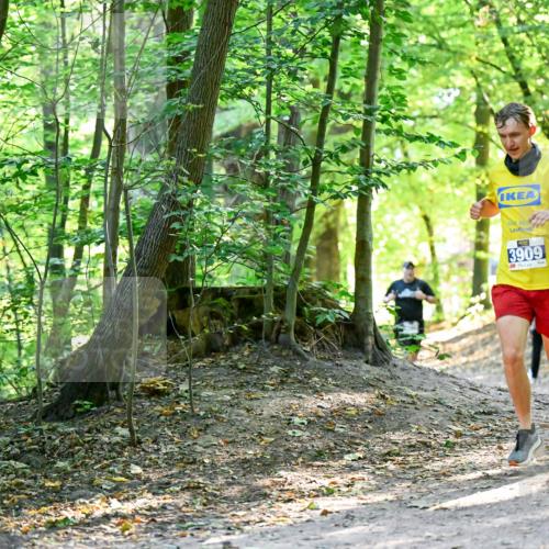 28.09.2025 - 33. Volkslauf durch das schöne Alstertal Dr. Thomas Lammeyer http://msf.ph/oto/8960491 28.09.2025 11:03:00 Laufen 3909 meine-sportfotos.de