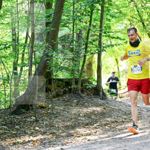 28.09.2025 - 33. Volkslauf durch das schöne Alstertal Dr. Thomas Lammeyer http://msf.ph/oto/8960492 28.09.2025 11:03:00 Laufen 3909 meine-sportfotos.de