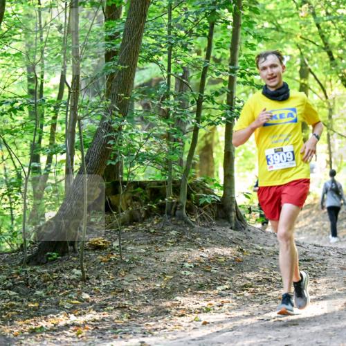 28.09.2025 - 33. Volkslauf durch das schöne Alstertal Dr. Thomas Lammeyer http://msf.ph/oto/8960494 28.09.2025 11:03:00 Laufen 3909 meine-sportfotos.de