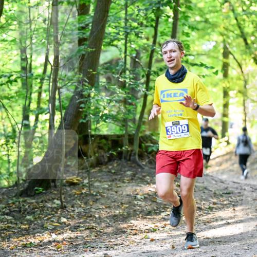 28.09.2025 - 33. Volkslauf durch das schöne Alstertal Dr. Thomas Lammeyer http://msf.ph/oto/8960495 28.09.2025 11:03:01 Laufen 3909 meine-sportfotos.de