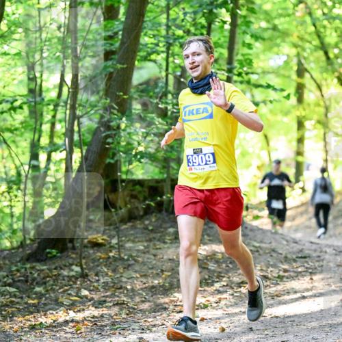 28.09.2025 - 33. Volkslauf durch das schöne Alstertal Dr. Thomas Lammeyer http://msf.ph/oto/8960496 28.09.2025 11:03:01 Laufen 3909 meine-sportfotos.de