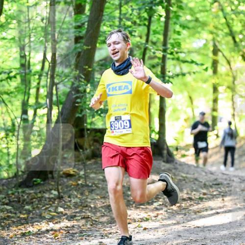 28.09.2025 - 33. Volkslauf durch das schöne Alstertal Dr. Thomas Lammeyer http://msf.ph/oto/8960498 28.09.2025 11:03:01 Laufen 3909 meine-sportfotos.de