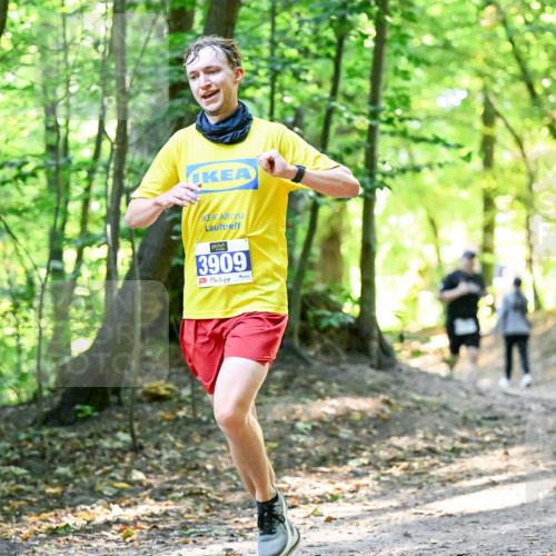 28.09.2025 - 33. Volkslauf durch das schöne Alstertal Dr. Thomas Lammeyer http://msf.ph/oto/8960499 28.09.2025 11:03:01 Laufen 3909 meine-sportfotos.de
