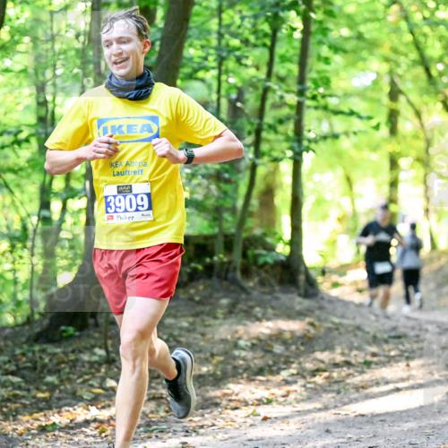 28.09.2025 - 33. Volkslauf durch das schöne Alstertal Dr. Thomas Lammeyer http://msf.ph/oto/8960500 28.09.2025 11:03:01 Laufen 3909 meine-sportfotos.de