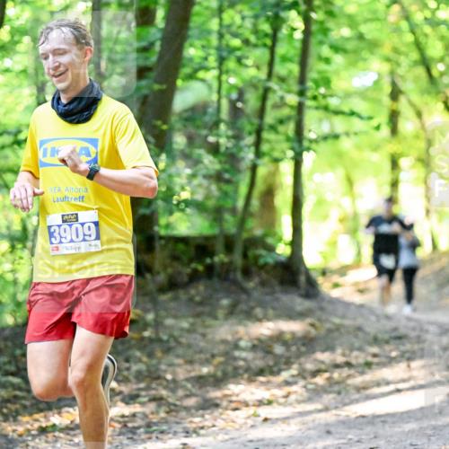 28.09.2025 - 33. Volkslauf durch das schöne Alstertal Dr. Thomas Lammeyer http://msf.ph/oto/8960501 28.09.2025 11:03:01 Laufen 3909 meine-sportfotos.de