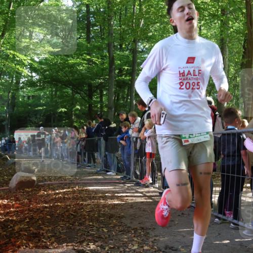 28.09.2025 - 33. Volkslauf durch das schöne Alstertal Strokosch-Dieckow http://msf.ph/oto/8960502 28.09.2025 10:49:30 Ziel 4175, 4922 meine-sportfotos.de
