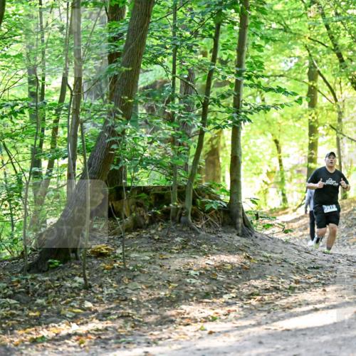 28.09.2025 - 33. Volkslauf durch das schöne Alstertal Dr. Thomas Lammeyer http://msf.ph/oto/8960503 28.09.2025 11:03:02 Laufen 3919 meine-sportfotos.de
