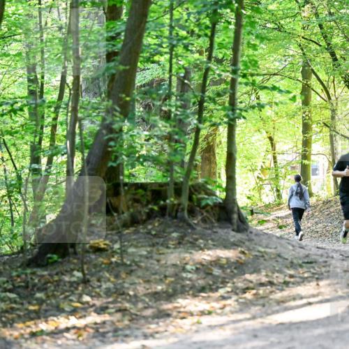 28.09.2025 - 33. Volkslauf durch das schöne Alstertal Dr. Thomas Lammeyer http://msf.ph/oto/8960504 28.09.2025 11:03:02 Laufen  meine-sportfotos.de
