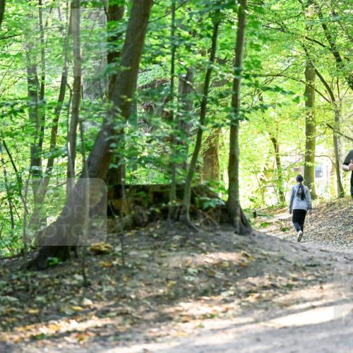 28.09.2025 - 33. Volkslauf durch das schöne Alstertal Dr. Thomas Lammeyer http://msf.ph/oto/8960505 28.09.2025 11:03:03 Laufen  meine-sportfotos.de