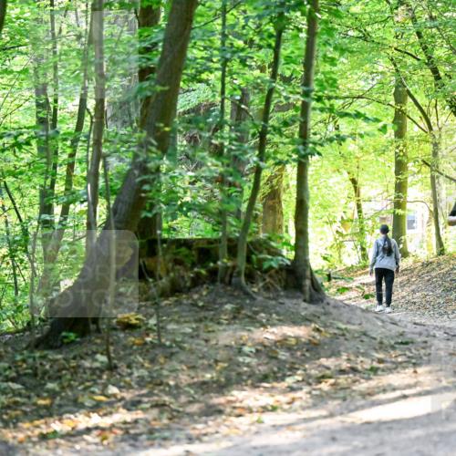 28.09.2025 - 33. Volkslauf durch das schöne Alstertal Dr. Thomas Lammeyer http://msf.ph/oto/8960506 28.09.2025 11:03:03 Laufen 3919 meine-sportfotos.de