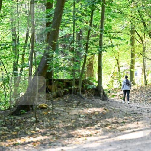 28.09.2025 - 33. Volkslauf durch das schöne Alstertal Dr. Thomas Lammeyer http://msf.ph/oto/8960507 28.09.2025 11:03:03 Laufen 3919 meine-sportfotos.de