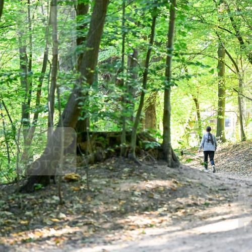 28.09.2025 - 33. Volkslauf durch das schöne Alstertal Dr. Thomas Lammeyer http://msf.ph/oto/8960509 28.09.2025 11:03:03 Laufen  meine-sportfotos.de