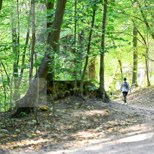 28.09.2025 - 33. Volkslauf durch das schöne Alstertal Dr. Thomas Lammeyer http://msf.ph/oto/8960512 28.09.2025 11:03:03 Laufen  meine-sportfotos.de