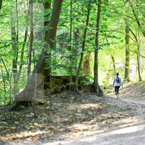 28.09.2025 - 33. Volkslauf durch das schöne Alstertal Dr. Thomas Lammeyer http://msf.ph/oto/8960513 28.09.2025 11:03:03 Laufen 3919 meine-sportfotos.de