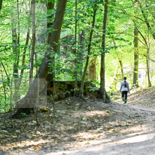 28.09.2025 - 33. Volkslauf durch das schöne Alstertal Dr. Thomas Lammeyer http://msf.ph/oto/8960514 28.09.2025 11:03:04 Laufen 3919 meine-sportfotos.de
