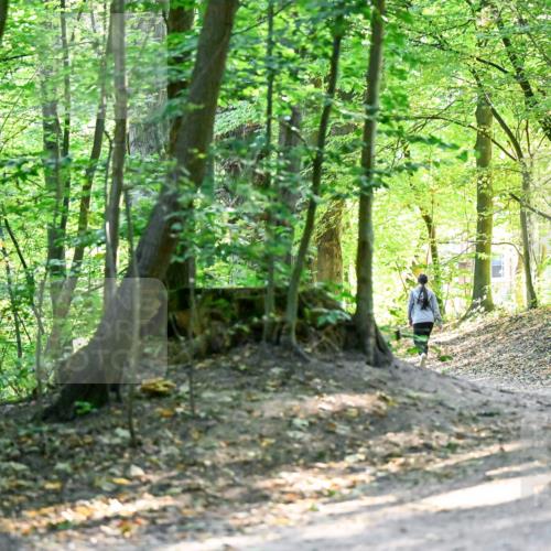 28.09.2025 - 33. Volkslauf durch das schöne Alstertal Dr. Thomas Lammeyer http://msf.ph/oto/8960516 28.09.2025 11:03:05 Laufen 3919 meine-sportfotos.de