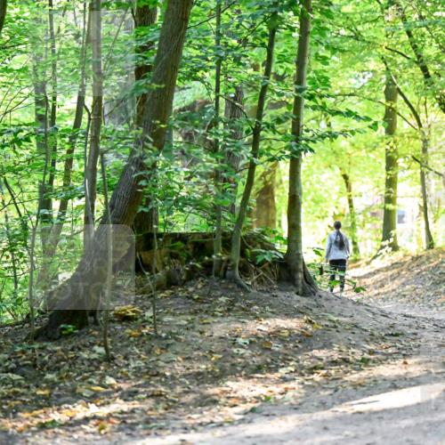 28.09.2025 - 33. Volkslauf durch das schöne Alstertal Dr. Thomas Lammeyer http://msf.ph/oto/8960518 28.09.2025 11:03:05 Laufen 3919 meine-sportfotos.de