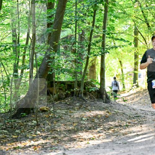 28.09.2025 - 33. Volkslauf durch das schöne Alstertal Dr. Thomas Lammeyer http://msf.ph/oto/8960519 28.09.2025 11:03:05 Laufen 3919 meine-sportfotos.de