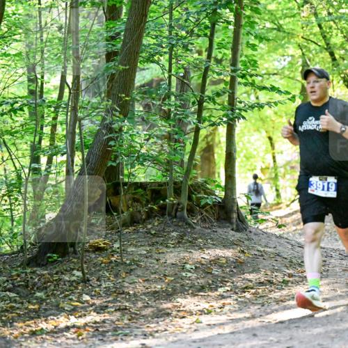 28.09.2025 - 33. Volkslauf durch das schöne Alstertal Dr. Thomas Lammeyer http://msf.ph/oto/8960521 28.09.2025 11:03:05 Laufen 3919 meine-sportfotos.de
