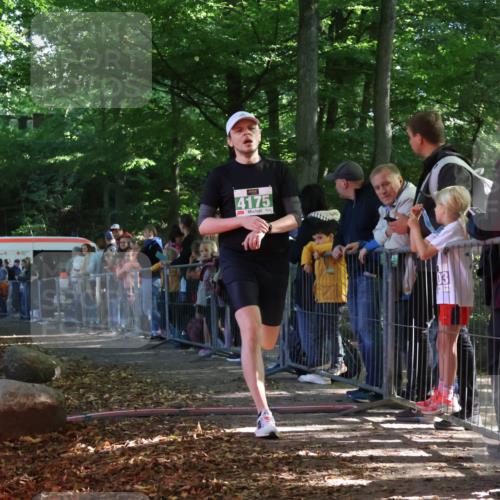 28.09.2025 - 33. Volkslauf durch das schöne Alstertal Strokosch-Dieckow http://msf.ph/oto/8960522 28.09.2025 10:49:32 Ziel 4175 meine-sportfotos.de
