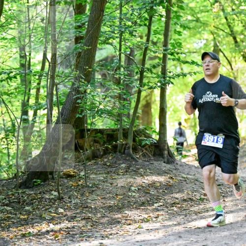 28.09.2025 - 33. Volkslauf durch das schöne Alstertal Dr. Thomas Lammeyer http://msf.ph/oto/8960523 28.09.2025 11:03:06 Laufen 3919 meine-sportfotos.de