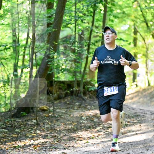 28.09.2025 - 33. Volkslauf durch das schöne Alstertal Dr. Thomas Lammeyer http://msf.ph/oto/8960525 28.09.2025 11:03:06 Laufen 2025, 3919 meine-sportfotos.de