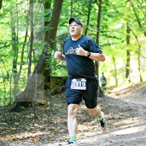 28.09.2025 - 33. Volkslauf durch das schöne Alstertal Dr. Thomas Lammeyer http://msf.ph/oto/8960527 28.09.2025 11:03:06 Laufen 5, 3919 meine-sportfotos.de