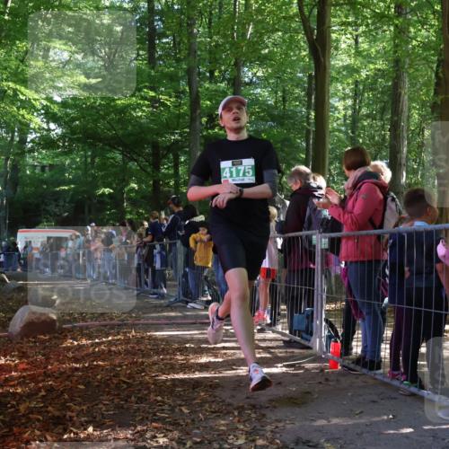 28.09.2025 - 33. Volkslauf durch das schöne Alstertal Strokosch-Dieckow http://msf.ph/oto/8960529 28.09.2025 10:49:33 Ziel 4175 meine-sportfotos.de