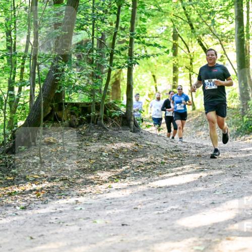 28.09.2025 - 33. Volkslauf durch das schöne Alstertal Dr. Thomas Lammeyer http://msf.ph/oto/8960533 28.09.2025 11:03:20 Laufen 321 meine-sportfotos.de